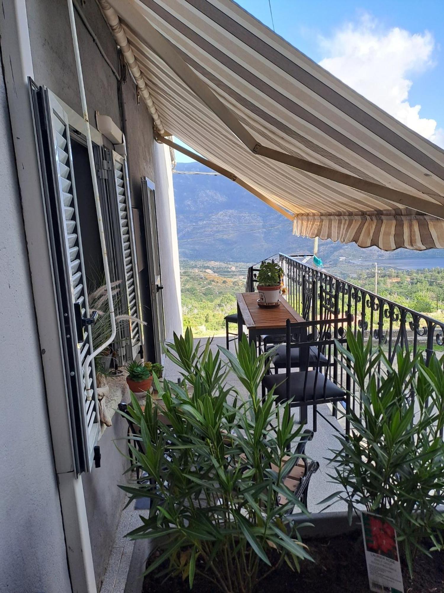 Location En Corse Au Pied Du Monte Cintu Διαμέρισμα Lozzi Εξωτερικό φωτογραφία